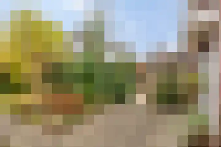 Wilhelminastraat 9 Duiven thumbnail 37
