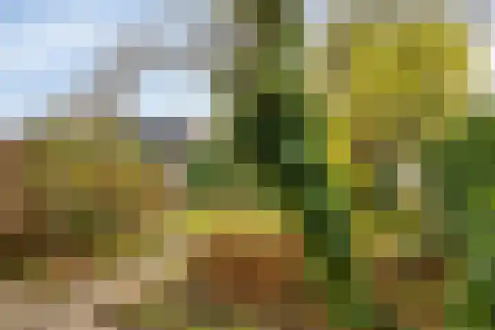 Wilhelminastraat 9 Duiven thumbnail 38