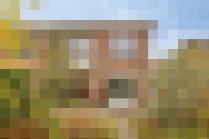 Wilhelminastraat 9 Duiven thumbnail 40