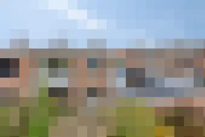 Wilhelminastraat 9 Duiven thumbnail 42