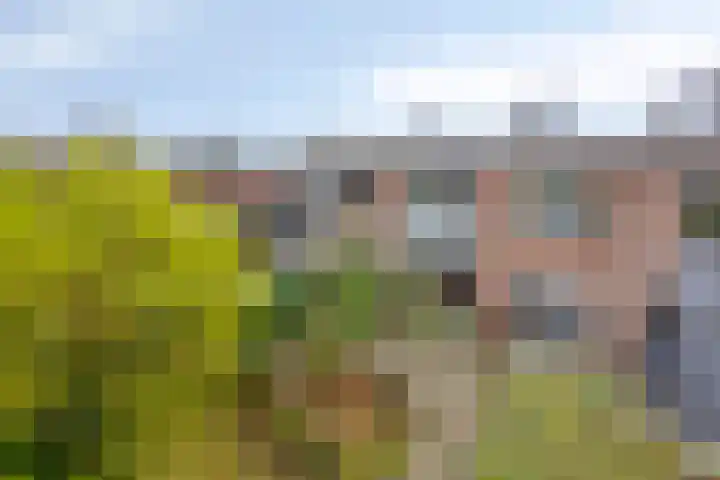 Wilhelminastraat 9 Duiven thumbnail 43