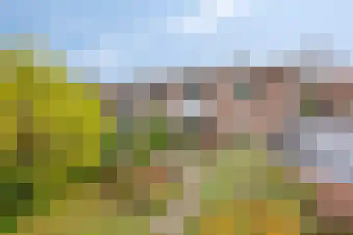 Wilhelminastraat 9 Duiven thumbnail 44