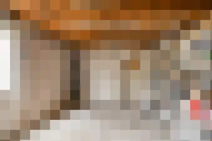 Wilhelminastraat 9 Duiven thumbnail 46