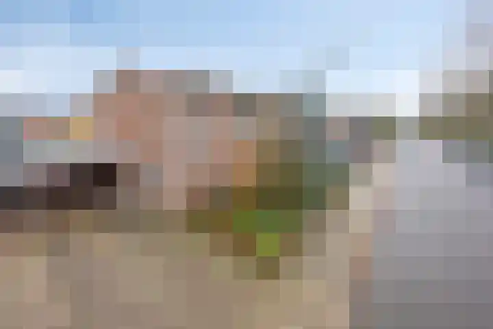 Wilhelminastraat 9 Duiven thumbnail 48