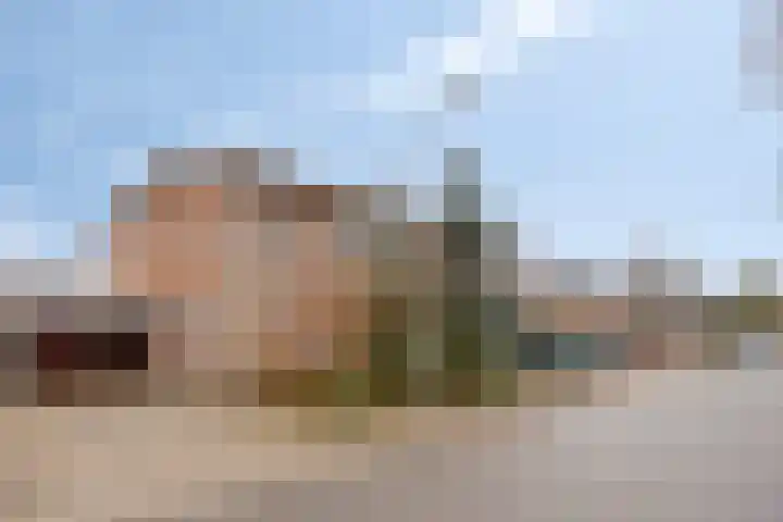 Wilhelminastraat 9 Duiven thumbnail 49