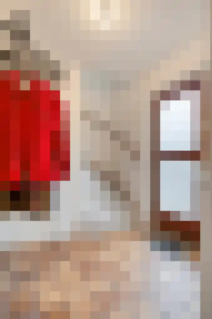 Wilhelminastraat 9 Duiven thumbnail 5