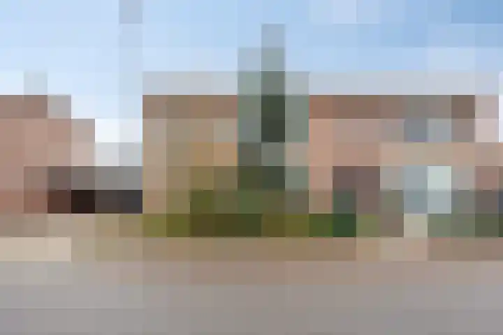 Wilhelminastraat 9 Duiven thumbnail 50