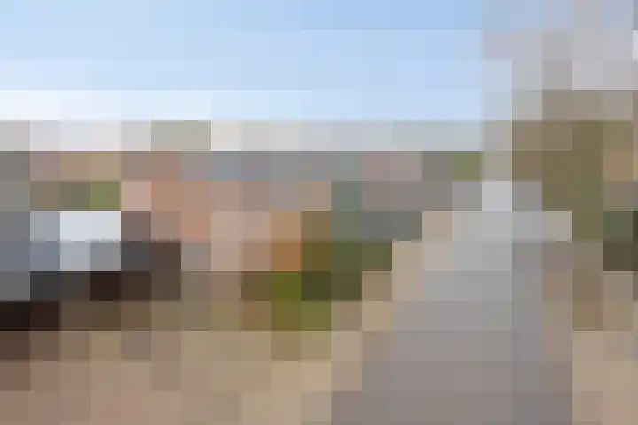 Wilhelminastraat 9 Duiven thumbnail 55