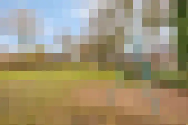 Wilhelminastraat 9 Duiven thumbnail 56