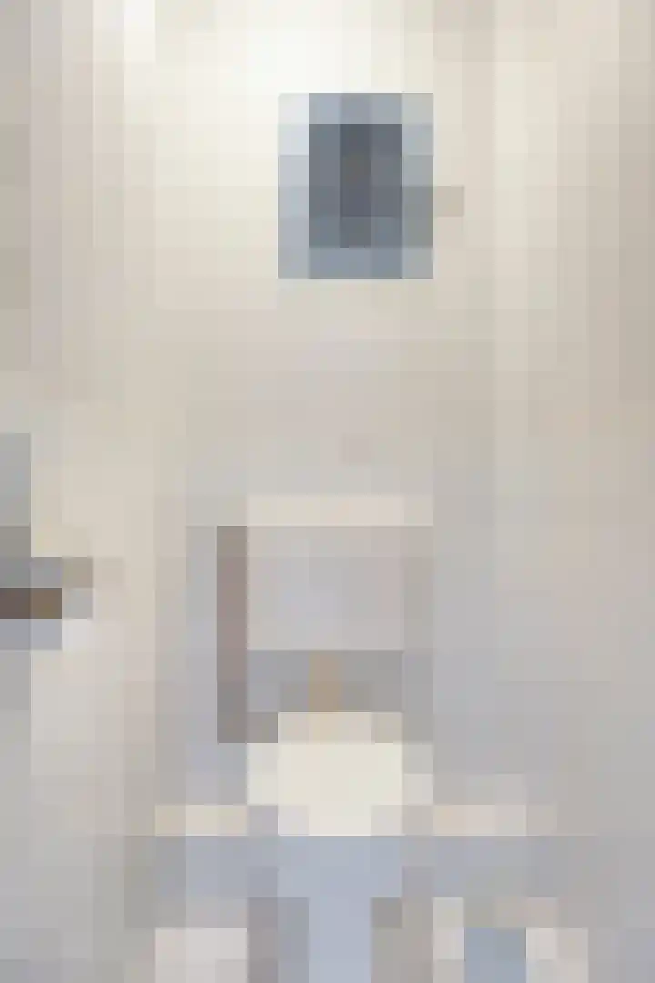Wilhelminastraat 9 Duiven thumbnail 8