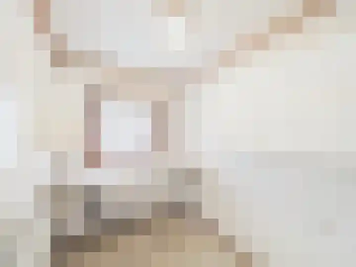 Wilhelminastraat 9 Hoek thumbnail 14