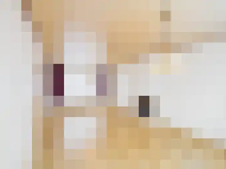 Wilhelminastraat 9 Hoek thumbnail 4