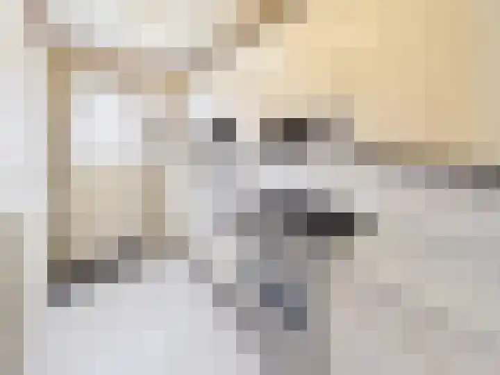 Wilhelminastraat 9 Hoek thumbnail 5