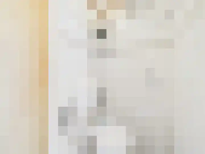 Wilhelminastraat 9 Hoek thumbnail 7