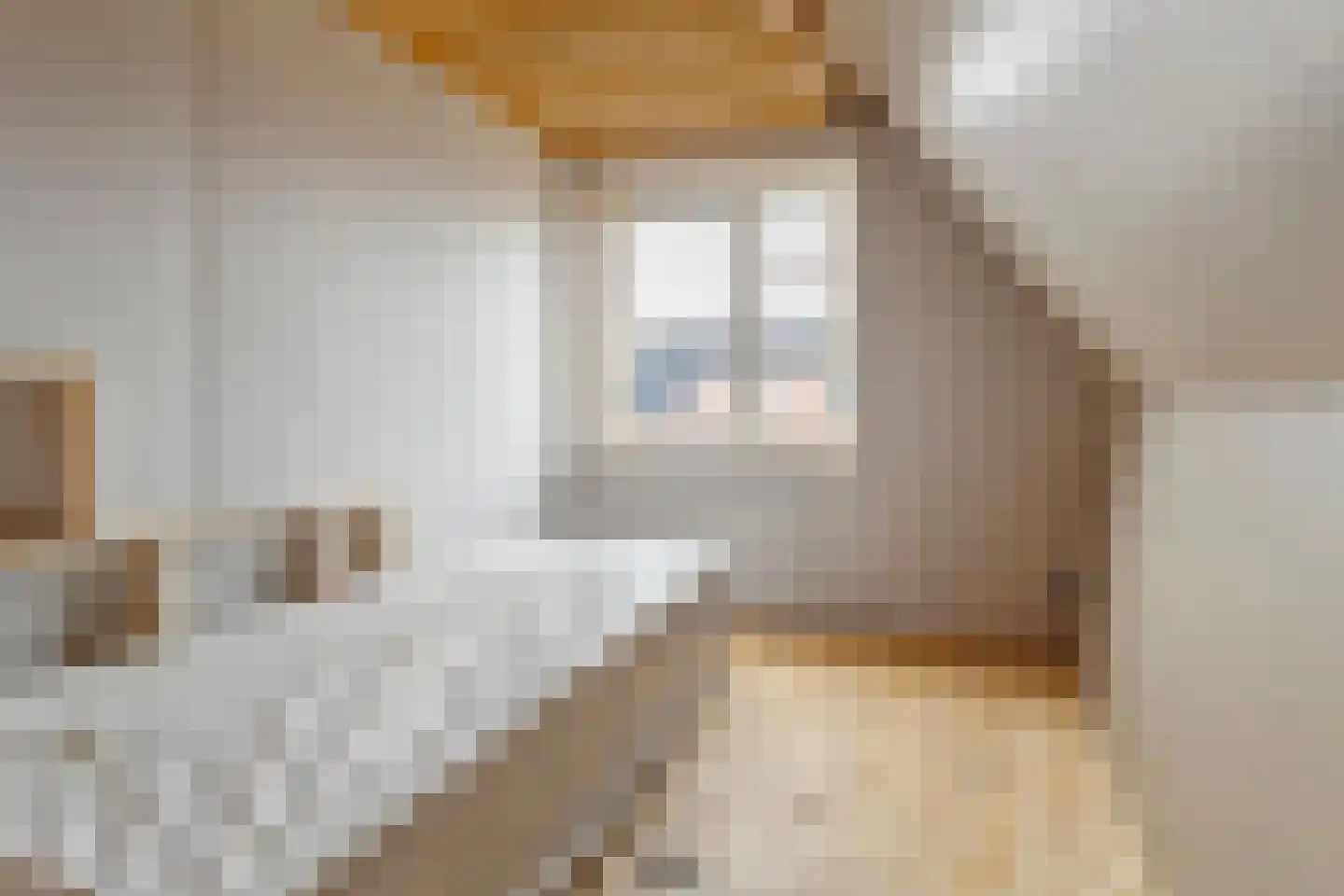 Wilhelminastraat 9 Kollum thumbnail 20
