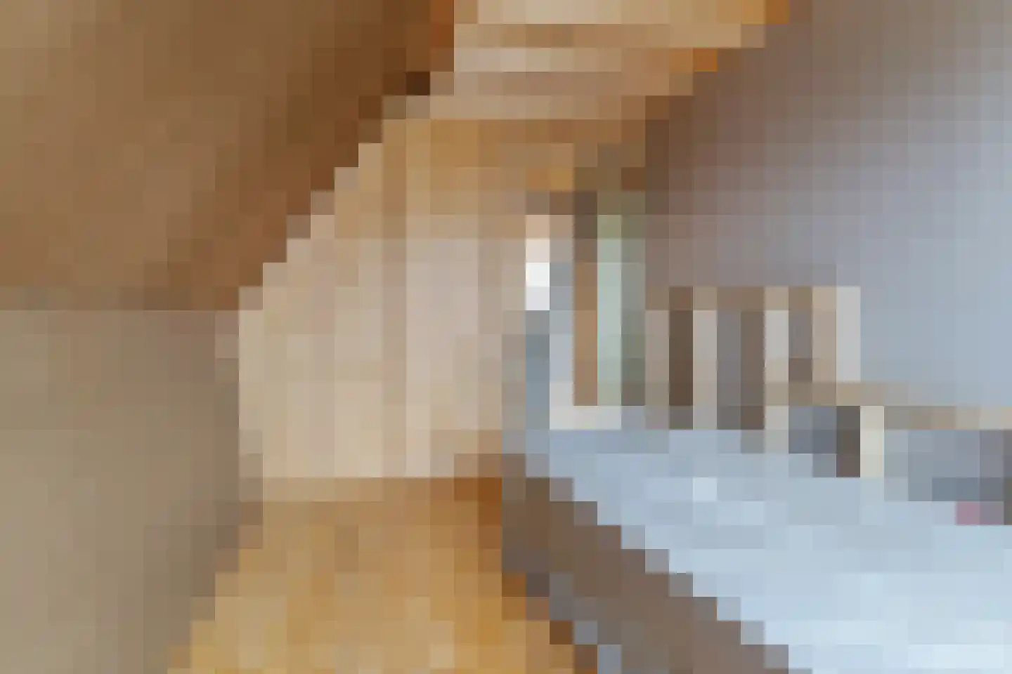 Wilhelminastraat 9 Kollum thumbnail 21