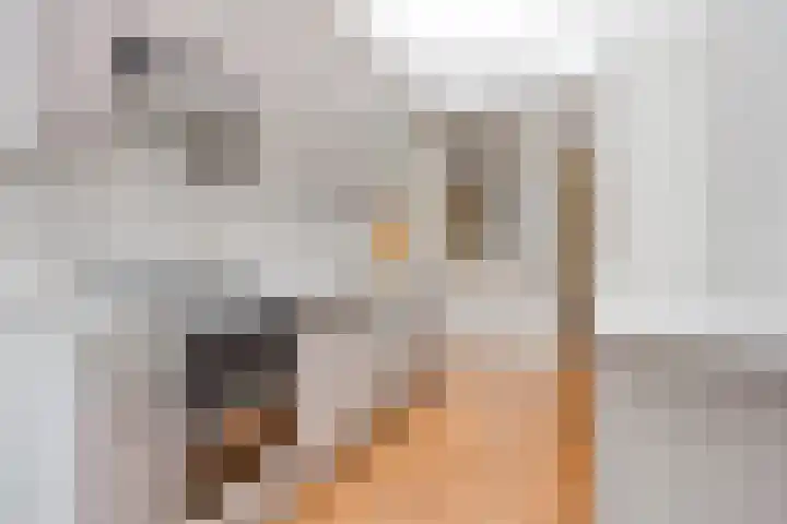 Wilhelminastraat 9 Stavenisse thumbnail 10