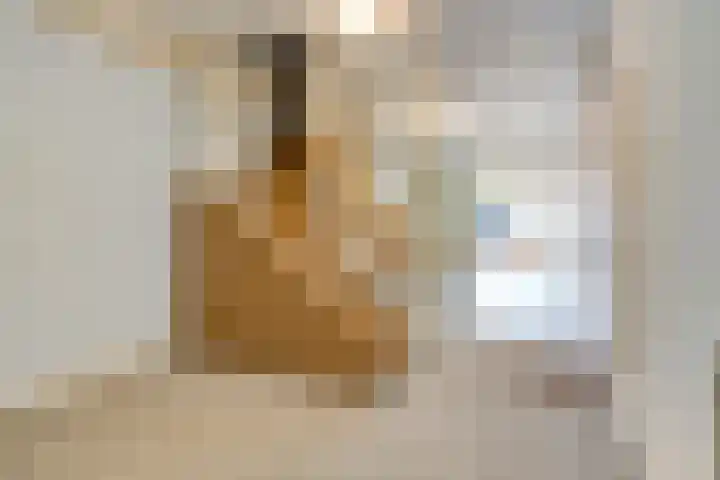 Wilhelminastraat 9 Stavenisse thumbnail 16