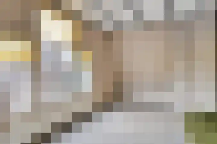 Wilhelminastraat 9 Stavenisse thumbnail 28