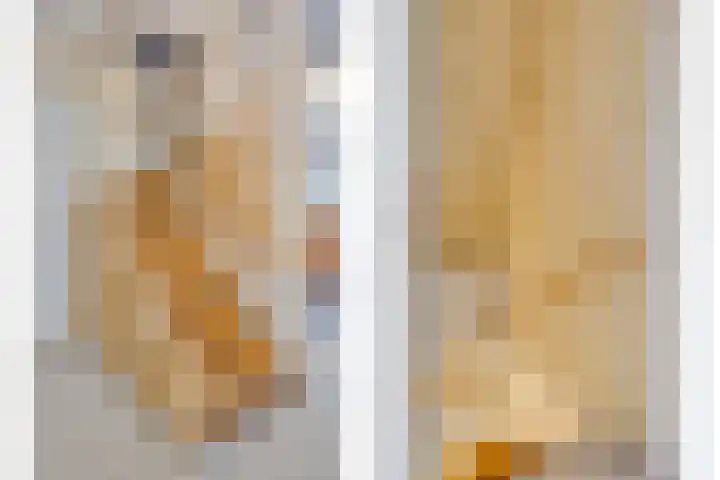 Wilhelminastraat 9 Stavenisse thumbnail 32