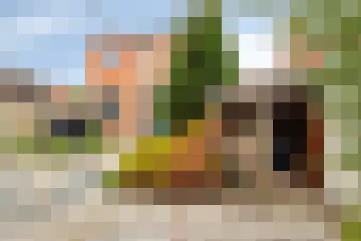 Wilhelminastraat 9 Stavenisse thumbnail 38