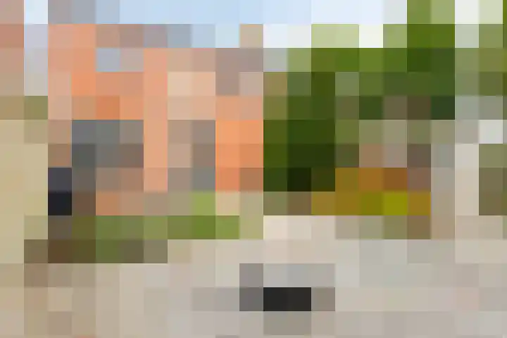 Wilhelminastraat 9 Stavenisse thumbnail 40