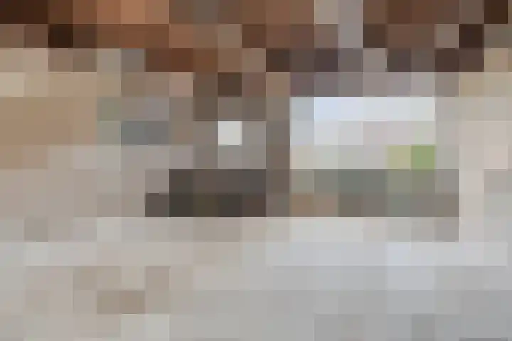 Wilhelminastraat 9 Stavenisse thumbnail 43