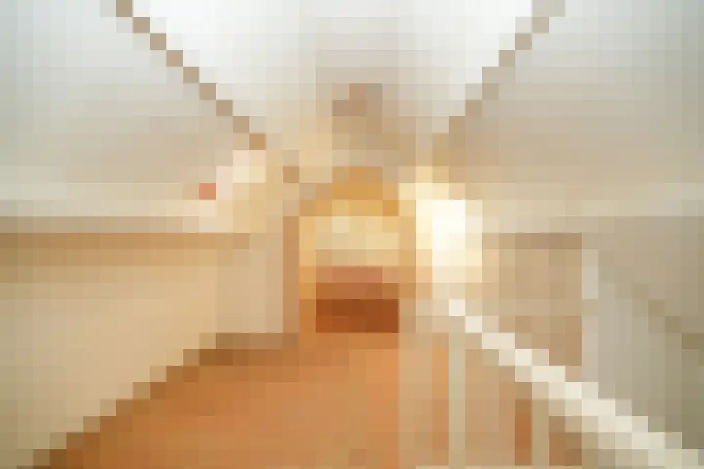 Wilhelminastraat 9 Wamel thumbnail 41