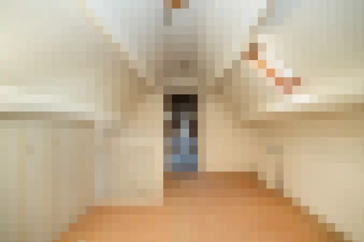 Wilhelminastraat 9 Wamel thumbnail 42