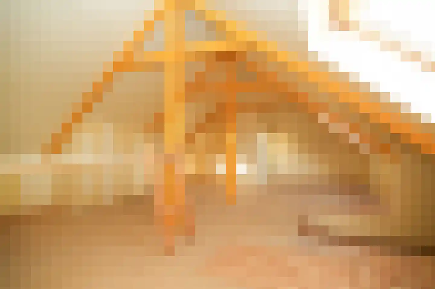 Wilhelminastraat 9 Wamel thumbnail 44