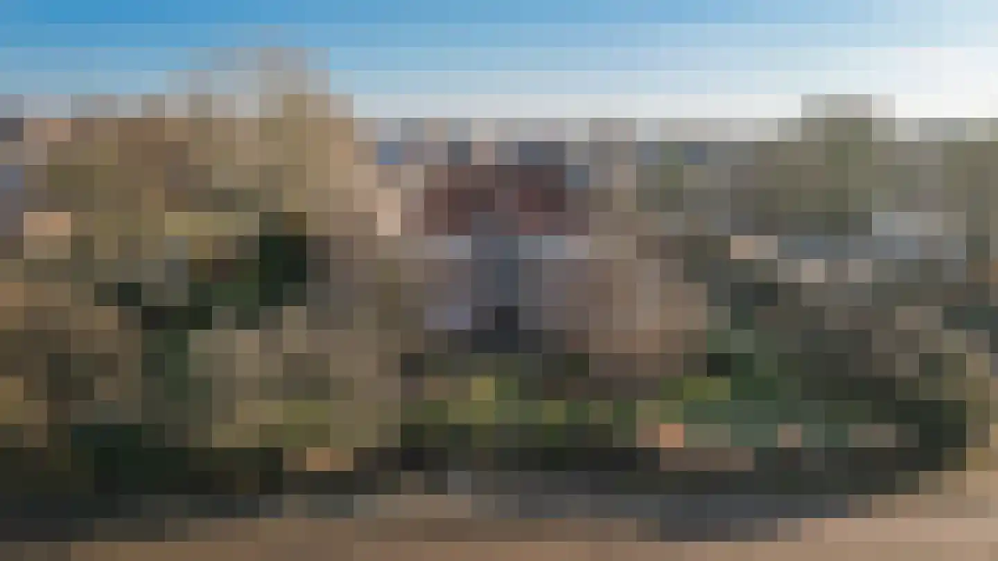 Wilhelminastraat 9 Wamel thumbnail 66