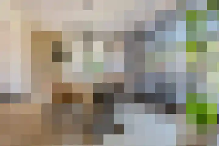 Wilhelminastraat 90 Dongen thumbnail 16