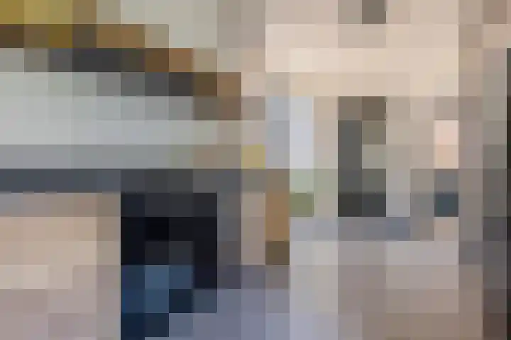 Wilhelminastraat 90 Dongen thumbnail 22