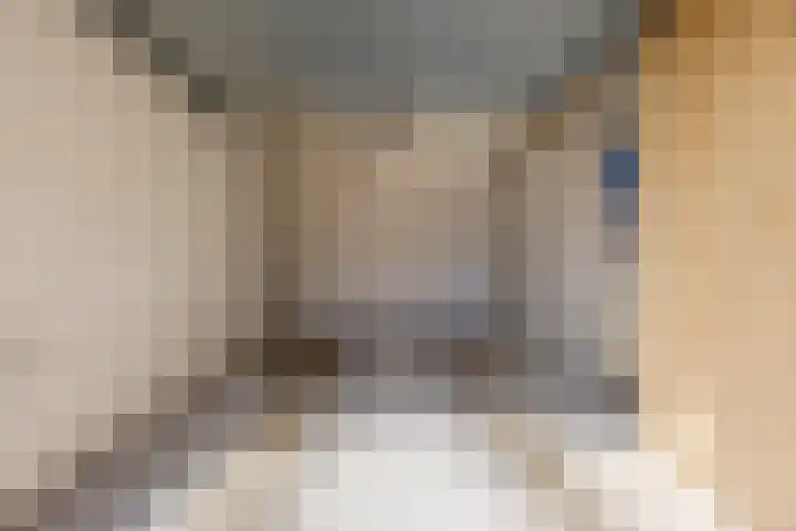 Wilhelminastraat 90 Dongen thumbnail 38