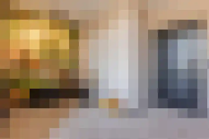 Wilhelminastraat 90 Dongen thumbnail 49