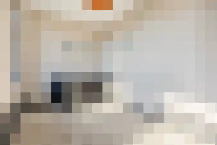 Wilhelminastraat 90 Dongen thumbnail 53