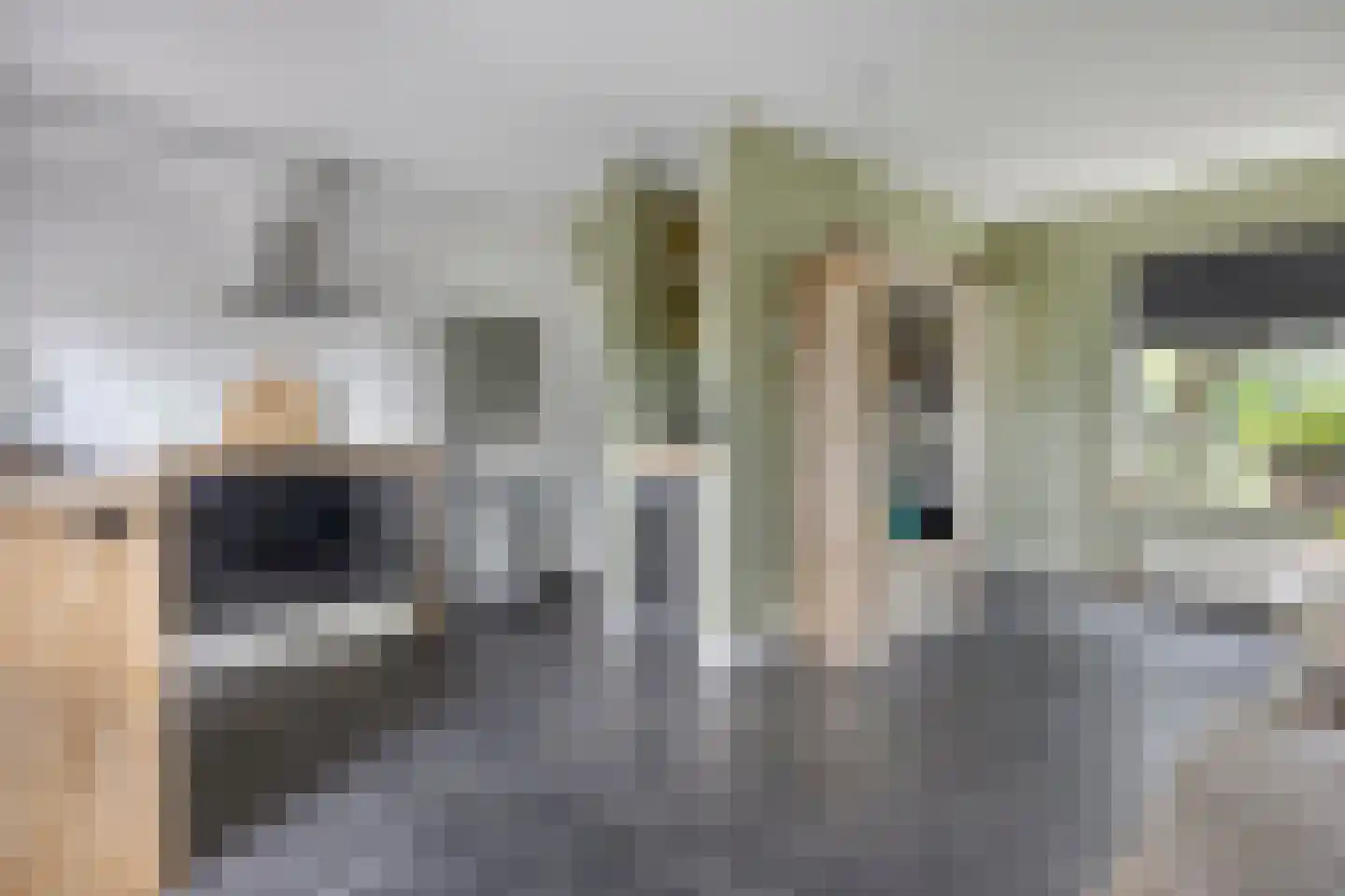 Wilhelminastraat 90 Lekkerkerk thumbnail 10