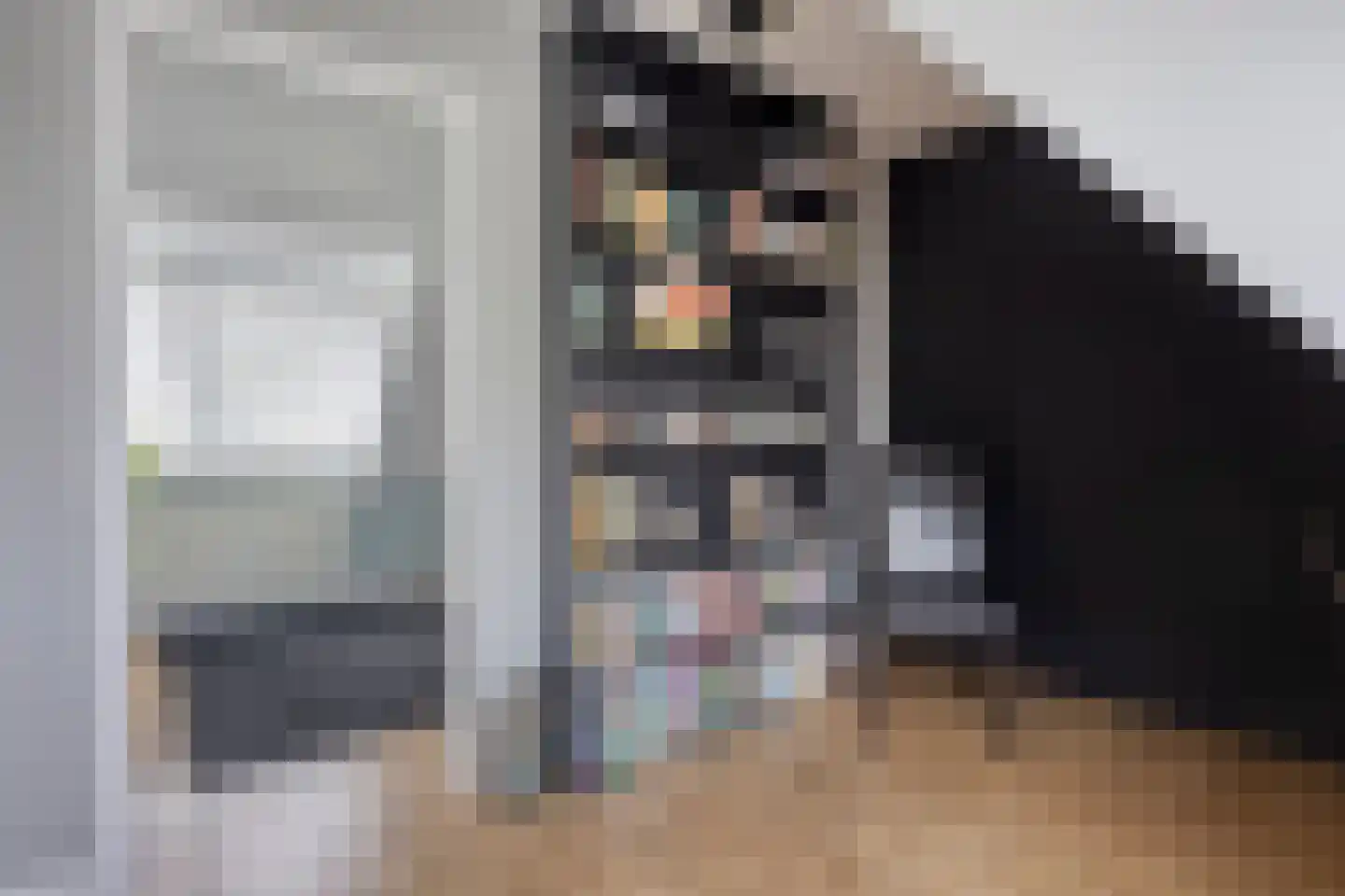 Wilhelminastraat 90 Lekkerkerk thumbnail 15