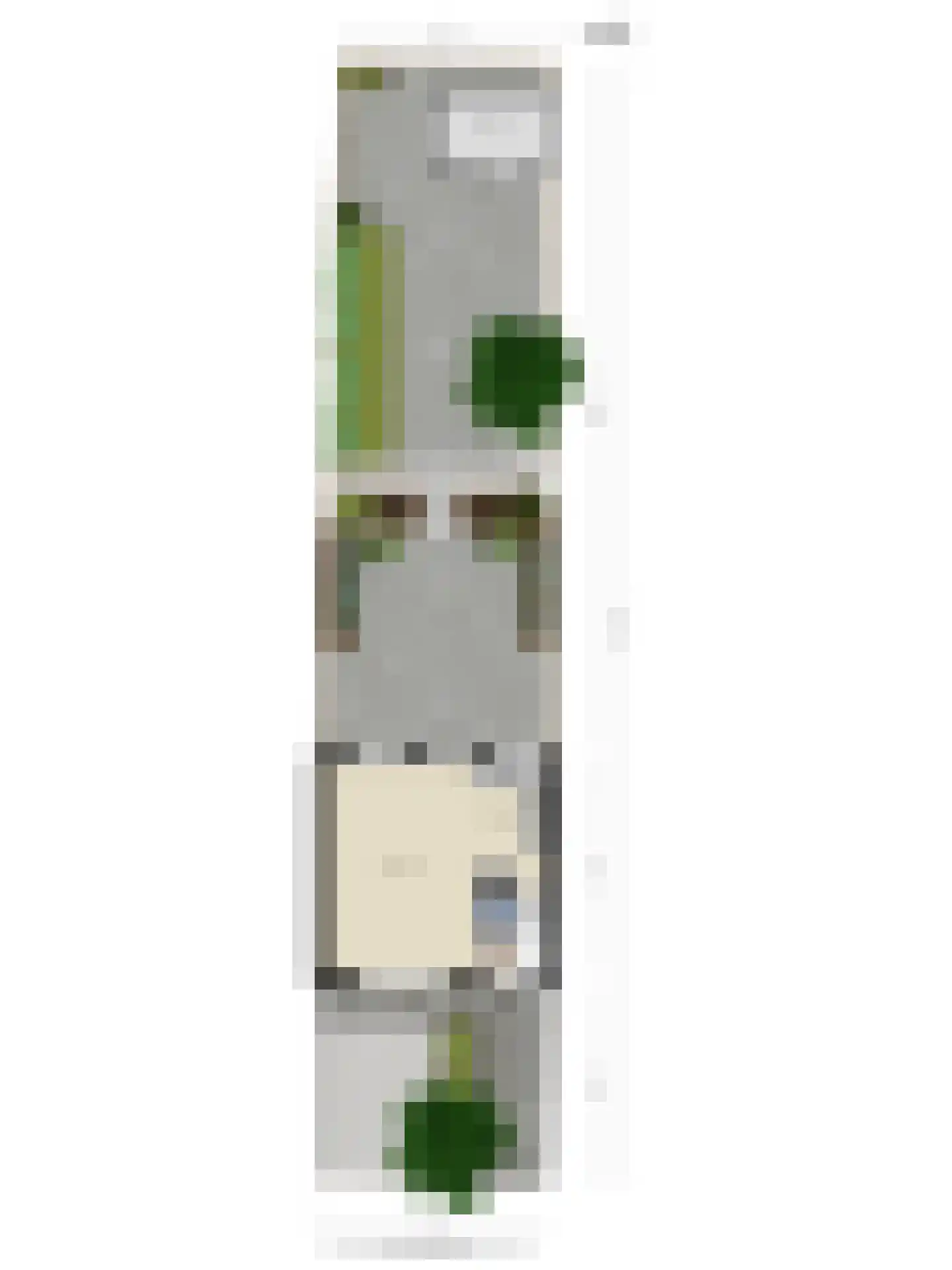 Wilhelminastraat 90 Lekkerkerk thumbnail 28