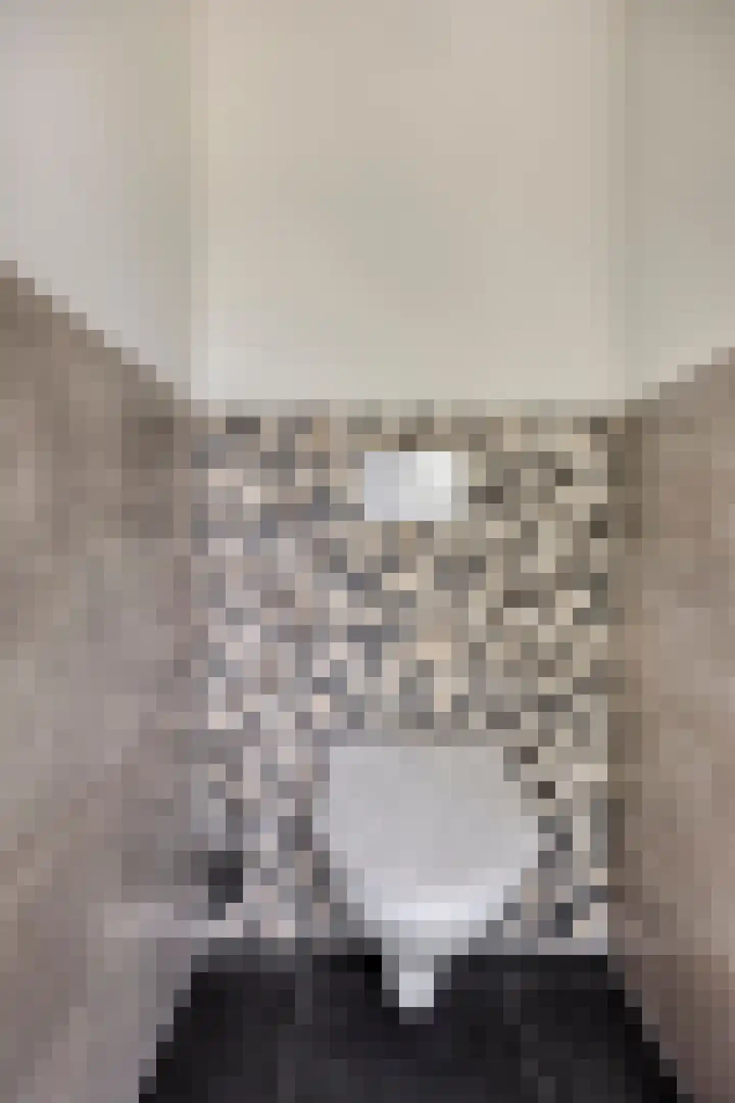 Wilhelminastraat 90 Lekkerkerk thumbnail 6