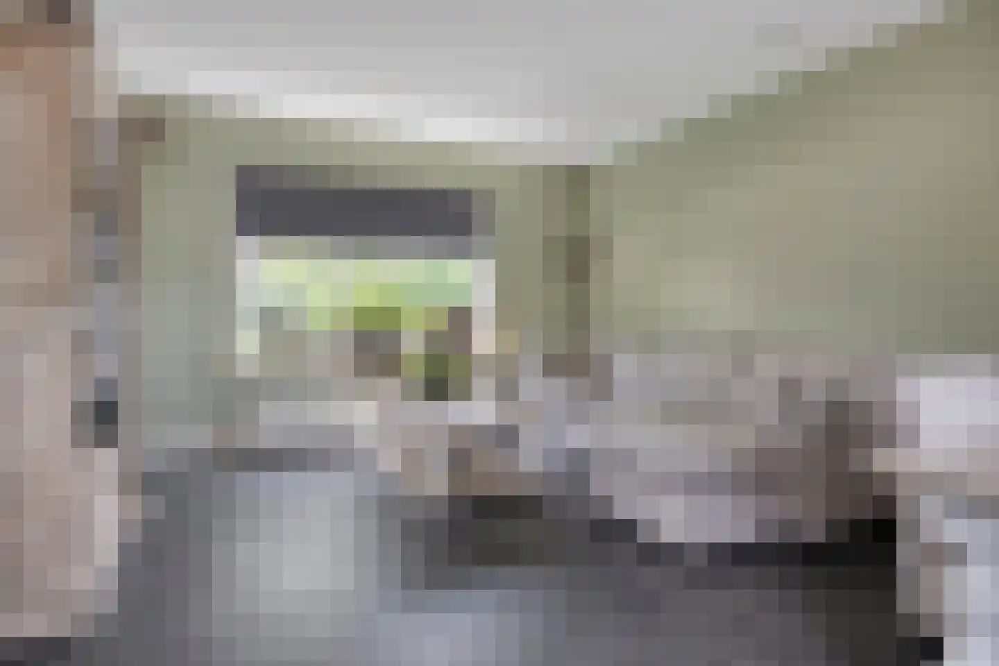 Wilhelminastraat 90 Lekkerkerk thumbnail 7