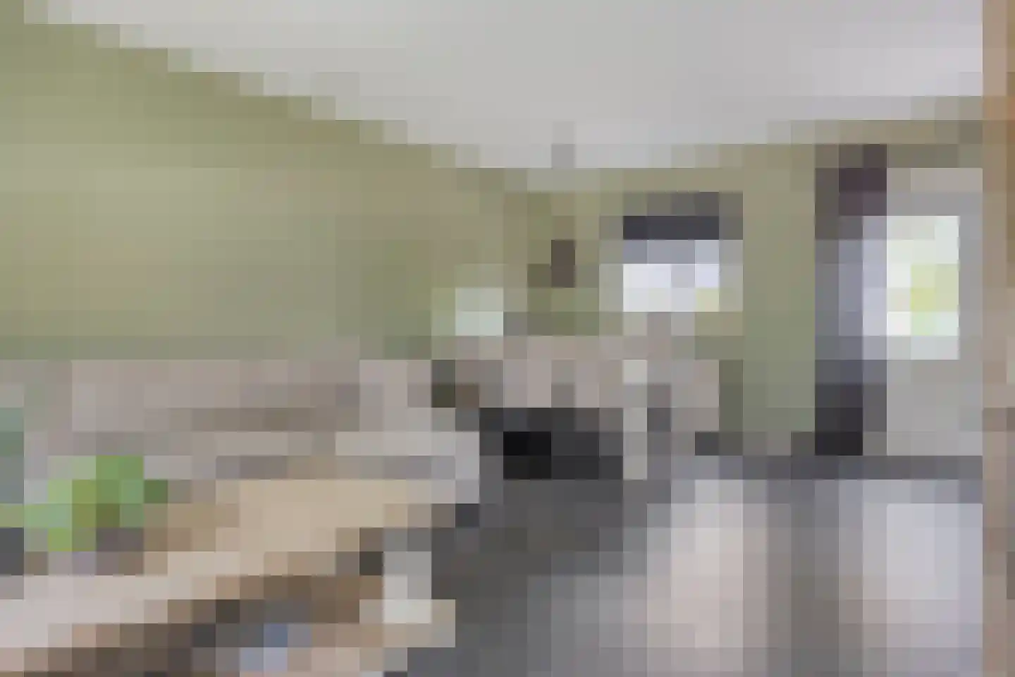 Wilhelminastraat 90 Lekkerkerk thumbnail 9