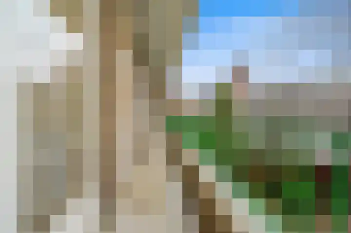 Wilhelminastraat 93 Den Haag thumbnail 17