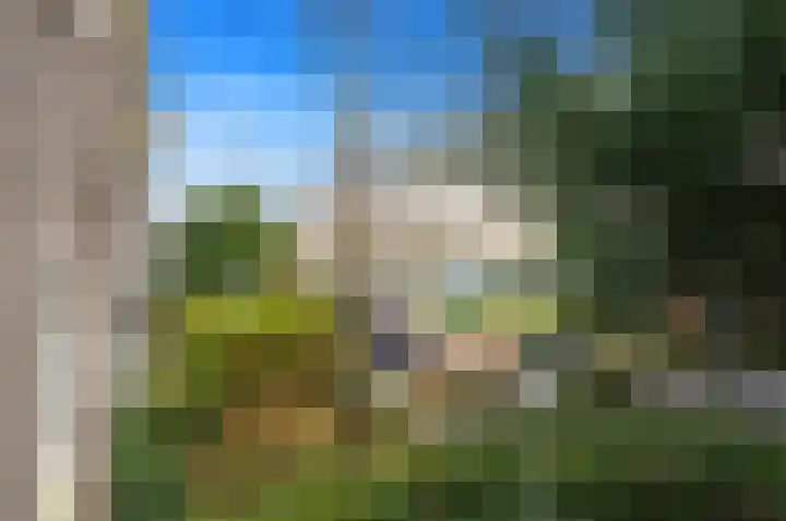 Wilhelminastraat 93 Den Haag thumbnail 30