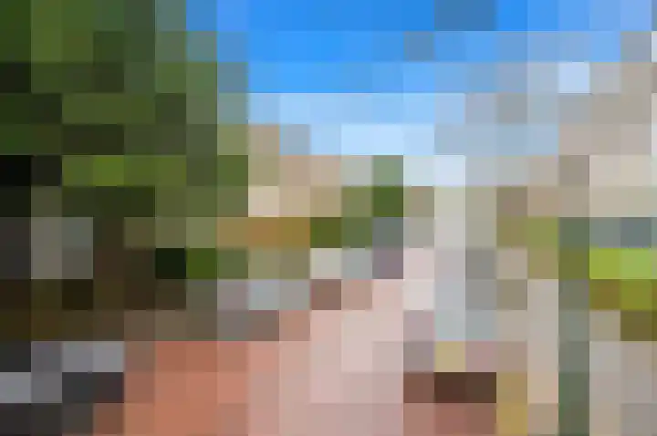 Wilhelminastraat 93 Den Haag thumbnail 32