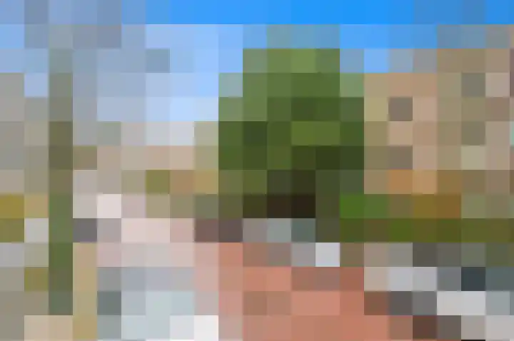 Wilhelminastraat 93 Den Haag thumbnail 33