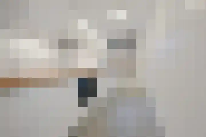 Wilhelminastraat 93 Den Haag thumbnail 4
