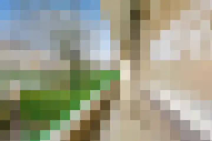 Wilhelminastraat 93 Den Haag thumbnail 8