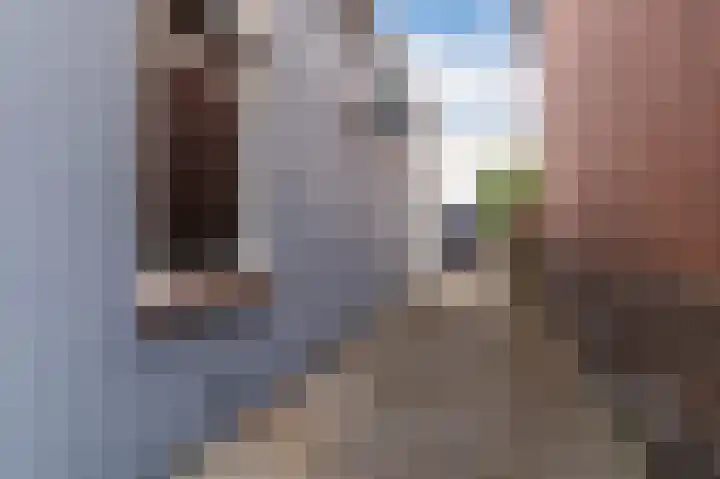 Wilhelminastraat 95 Sappemeer thumbnail 10