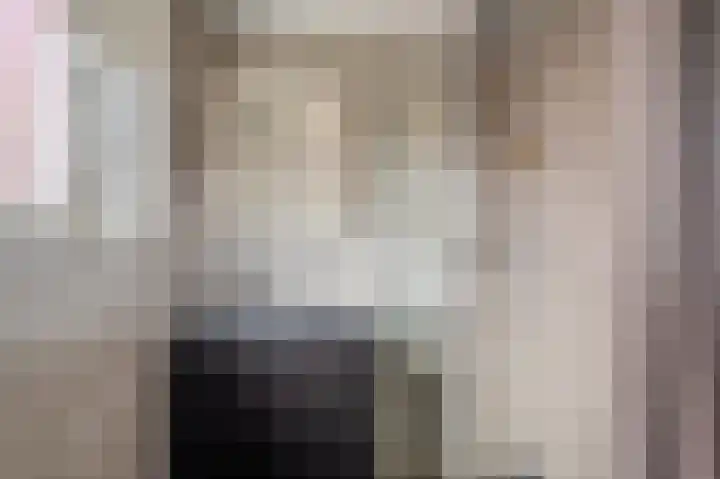 Wilhelminastraat 95 Sappemeer thumbnail 24